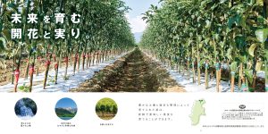 米沢苗圃様 カタログパンフレット 制作実績