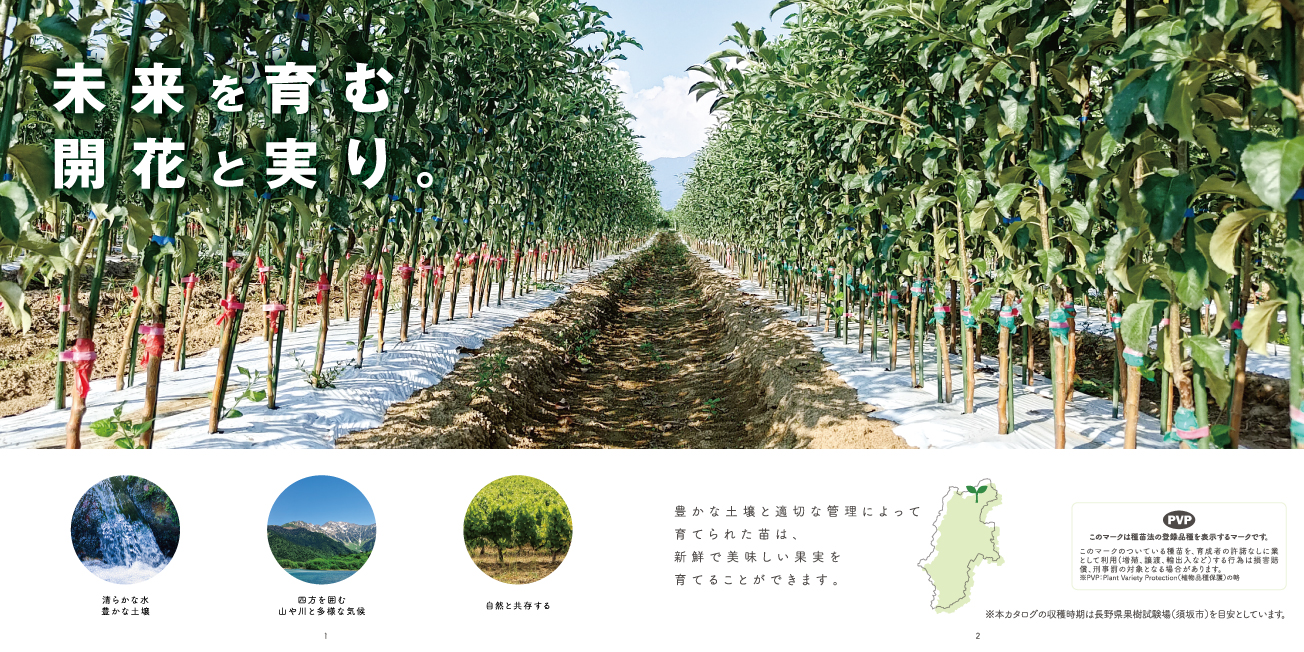 米沢苗圃様 カタログパンフレット